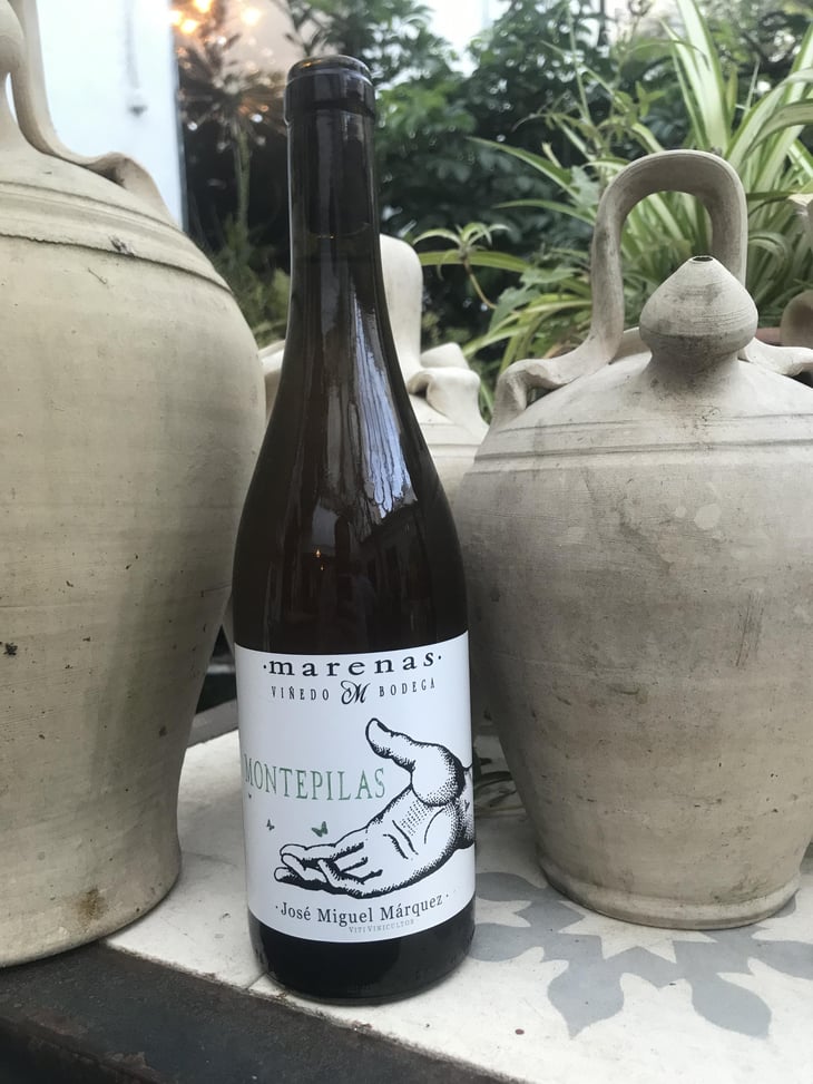 Montepilas - Marenas Viñedo y Bodega - José Miguel Márquez Herrador 