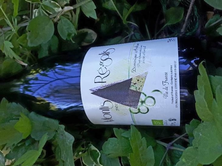 Montis Régalis - Haut-Campagnau - Dominique Andiran 