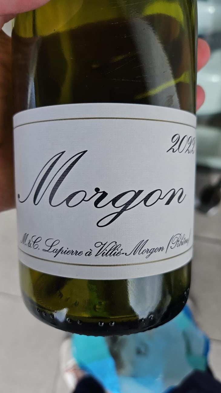 Morgon - Domaine Marcel Lapierre - Mathieu & Camille Lapierre 