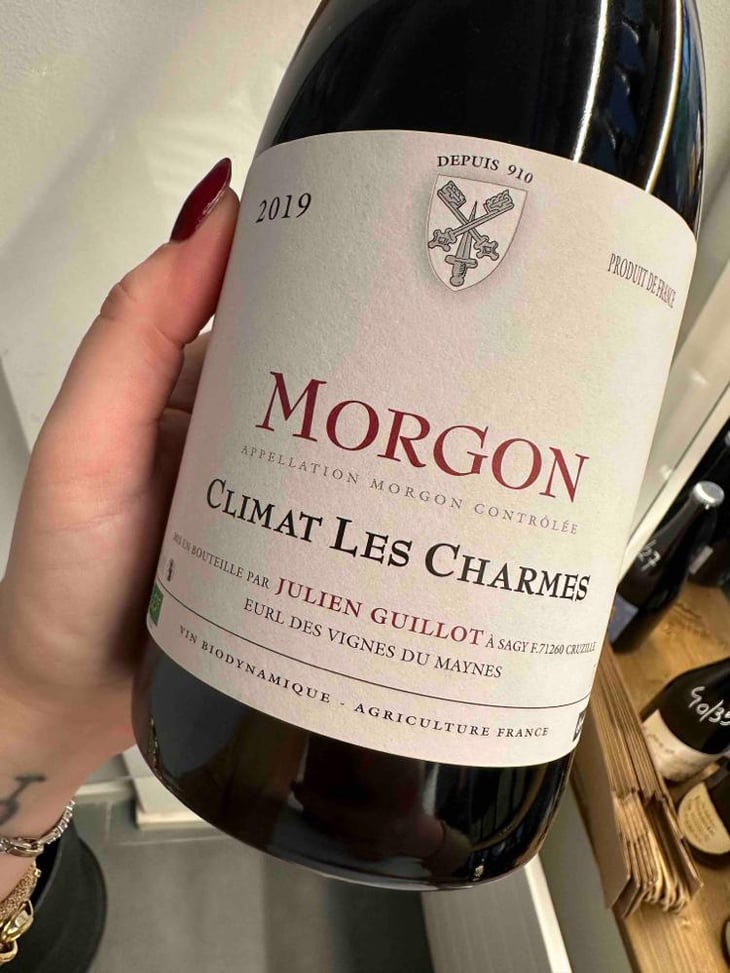 Climat Les Charmes - Clos des Vignes du Maynes - Julien Guillot 
