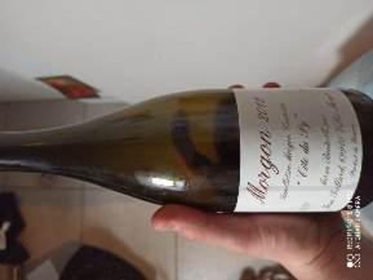 Morgon “Côté du Py” - Jean Foillard - Jean Foillard 
