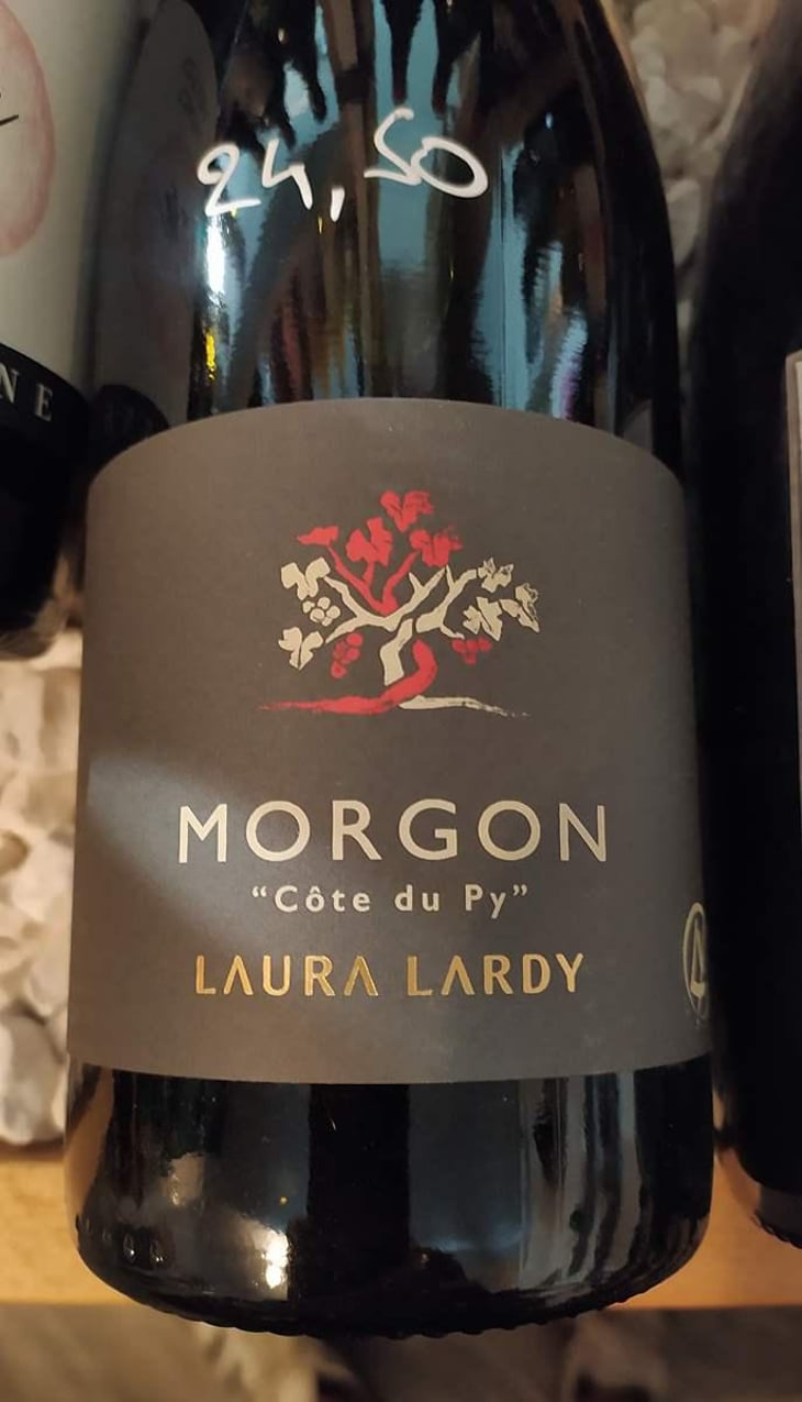 Côte du Py - Domaine Laura Lardy - Laura Lardy 