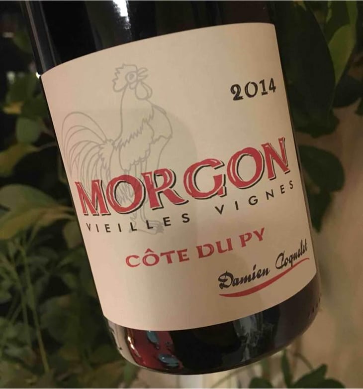 Morgon Côtes du Py Vieilles Vignes - Damien Coquelet - Damien Coquelet 