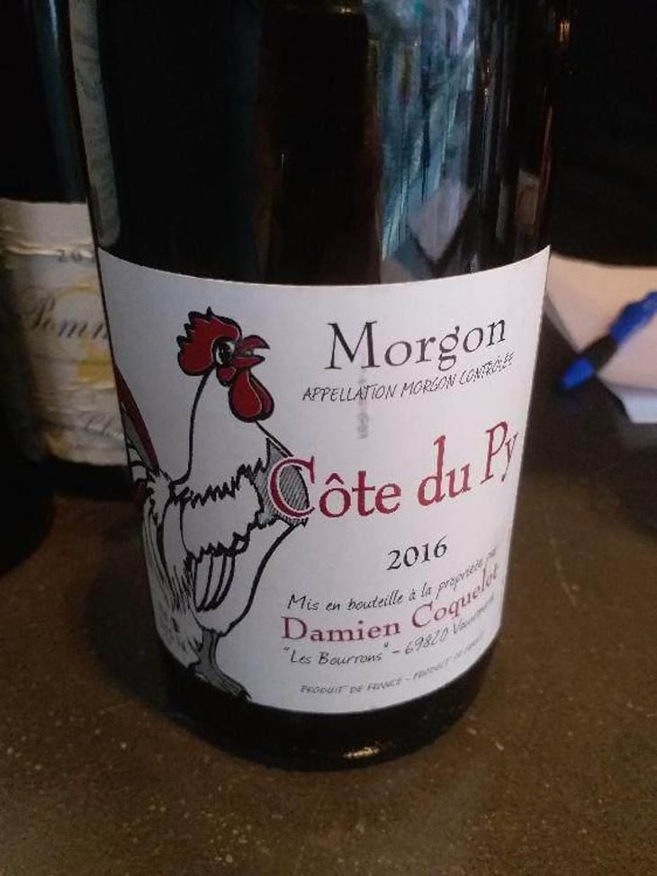 Morgon Côtes du Py Vieilles Vignes - Damien Coquelet - Damien Coquelet 