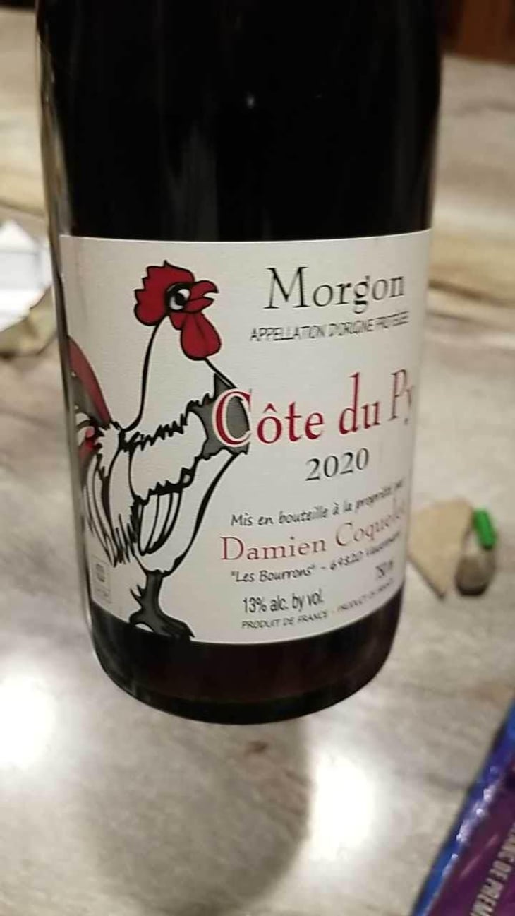 Morgon Côtes du Py Vieilles Vignes - Damien Coquelet - Damien Coquelet 