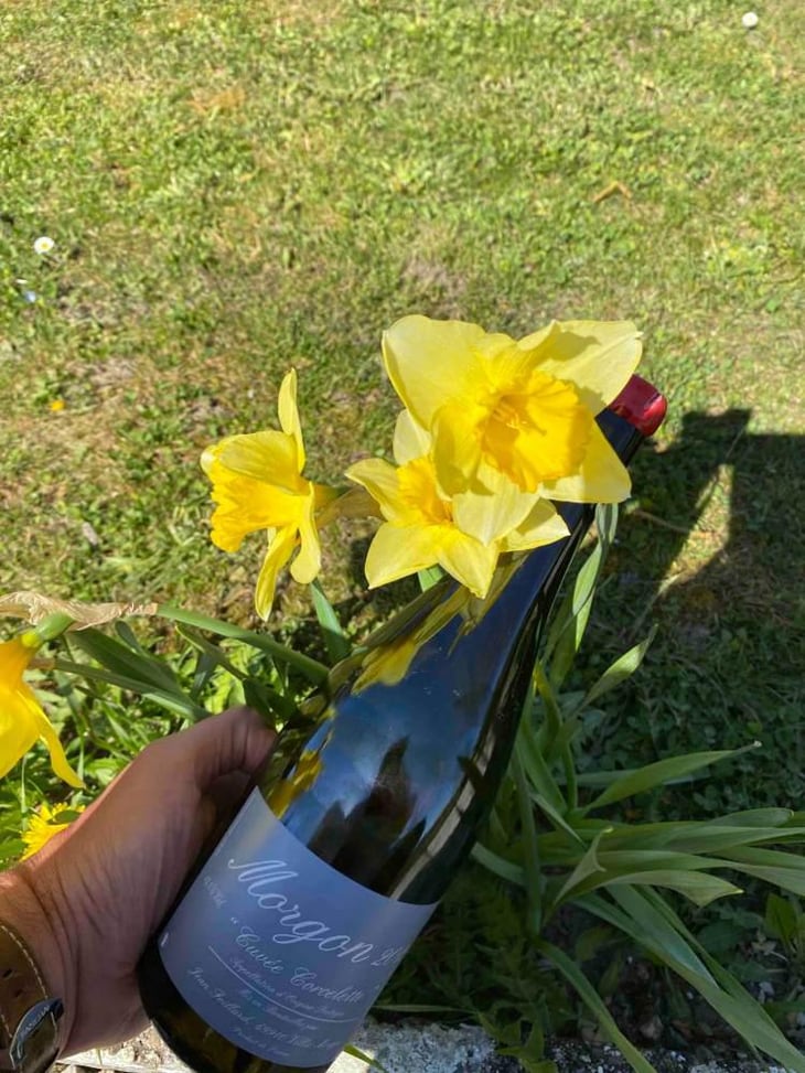 Morgon "Cuvée Corcelette" - Jean Foillard - Jean Foillard 