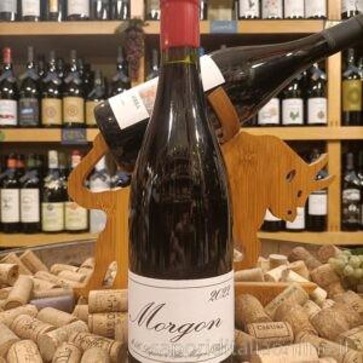 Morgon - Domaine Marcel Lapierre - Mathieu & Camille Lapierre 