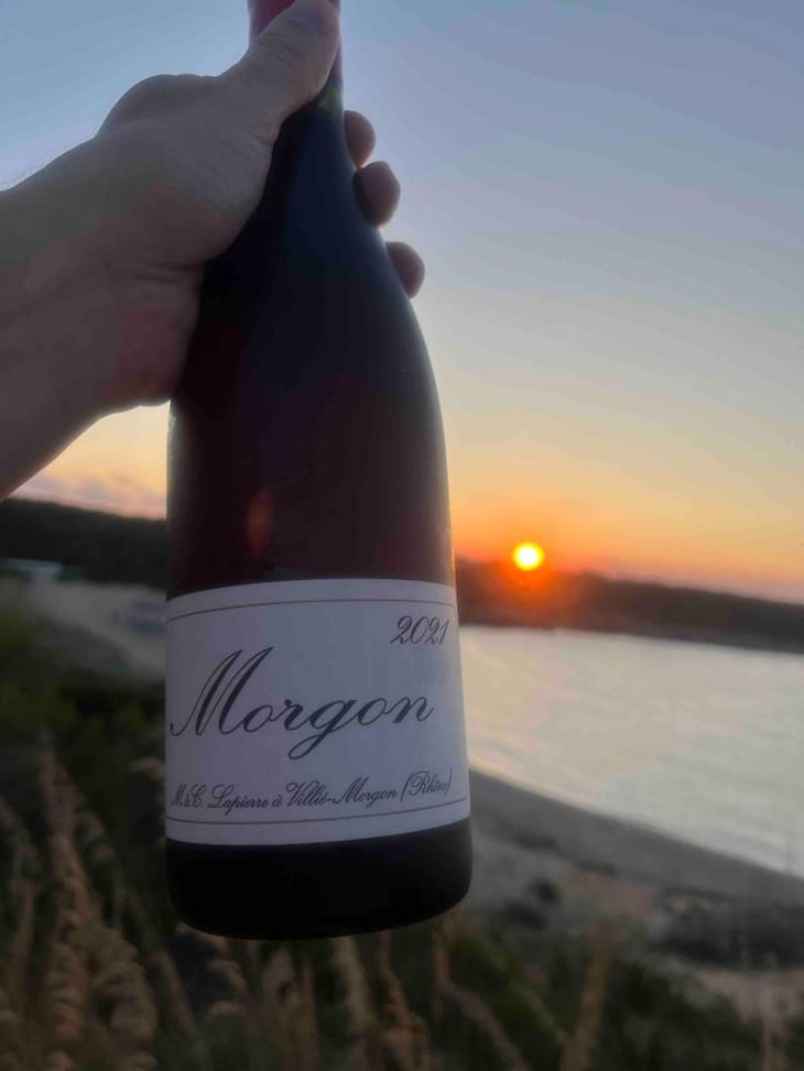 Morgon - Domaine Marcel Lapierre - Mathieu & Camille Lapierre 