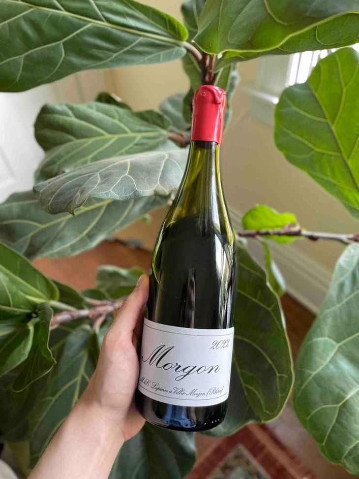 Morgon - Domaine Marcel Lapierre - Mathieu & Camille Lapierre 