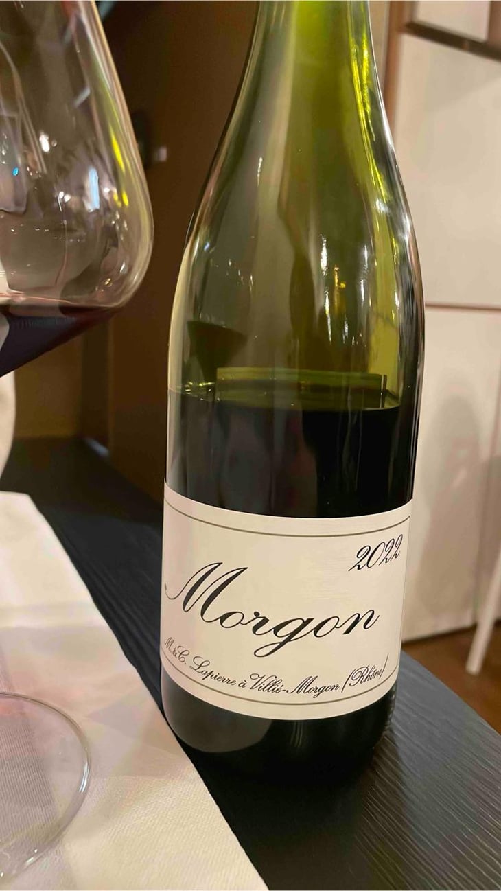Morgon - Domaine Marcel Lapierre - Mathieu & Camille Lapierre 