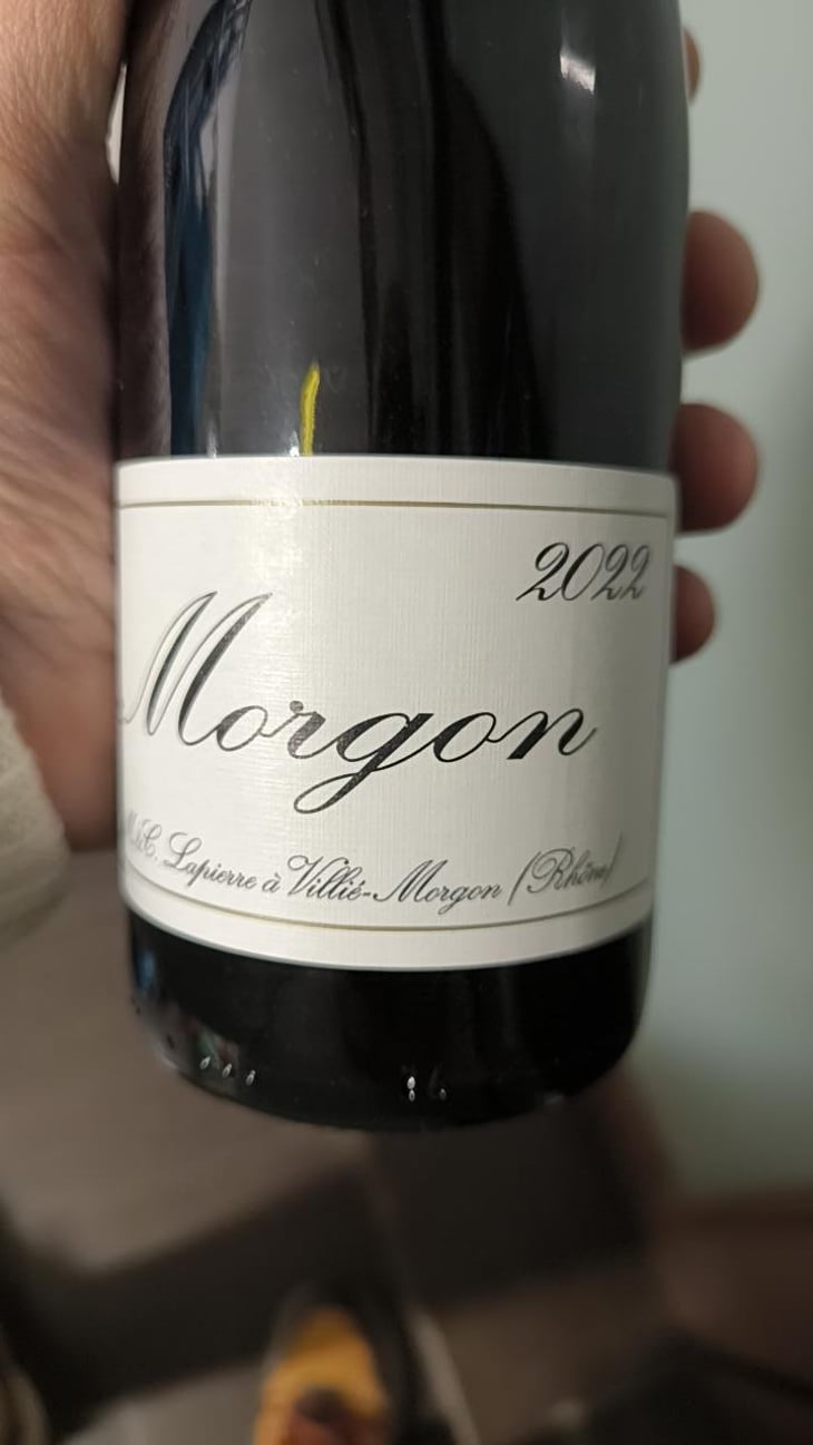 Morgon - Domaine Marcel Lapierre - Mathieu & Camille Lapierre 