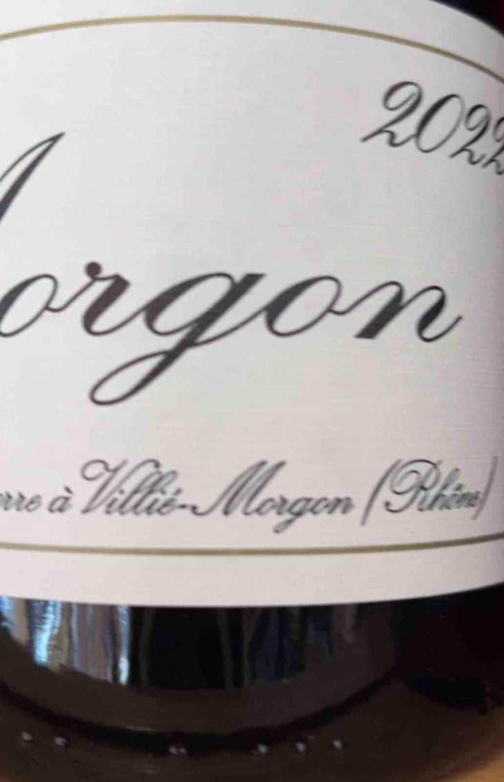 Morgon - Domaine Marcel Lapierre - Mathieu & Camille Lapierre 