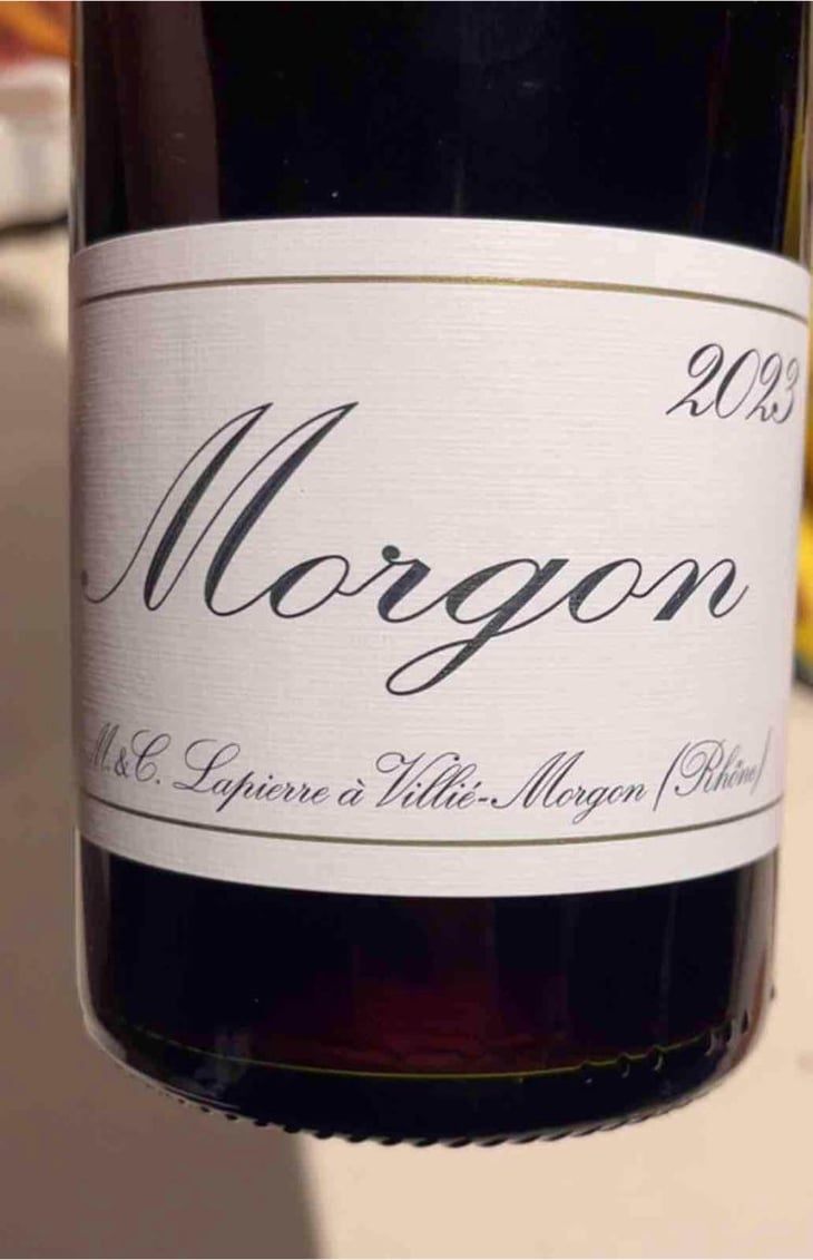 Morgon - Domaine Marcel Lapierre - Mathieu & Camille Lapierre 