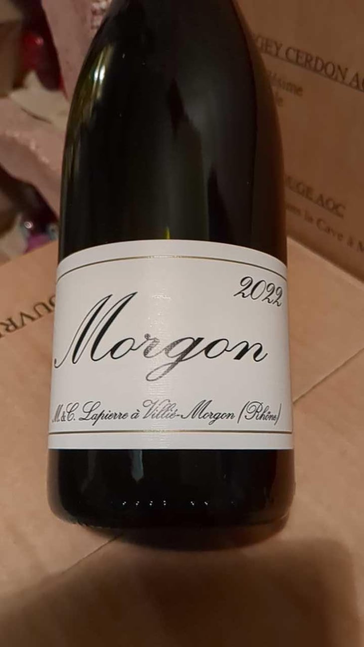 Morgon - Domaine Marcel Lapierre - Mathieu & Camille Lapierre 