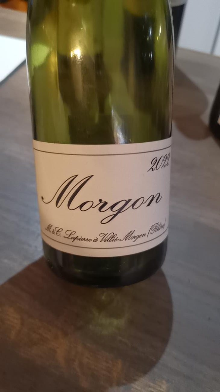 Morgon - Domaine Marcel Lapierre - Mathieu & Camille Lapierre 
