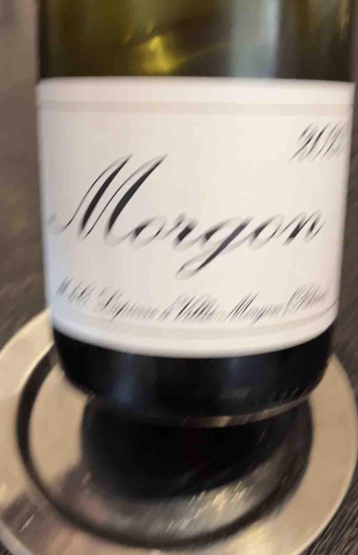 Morgon - Domaine Marcel Lapierre - Mathieu & Camille Lapierre 