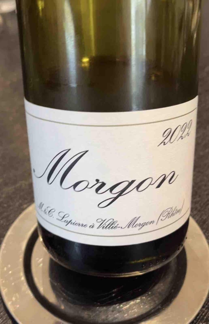 Morgon - Domaine Marcel Lapierre - Mathieu & Camille Lapierre 