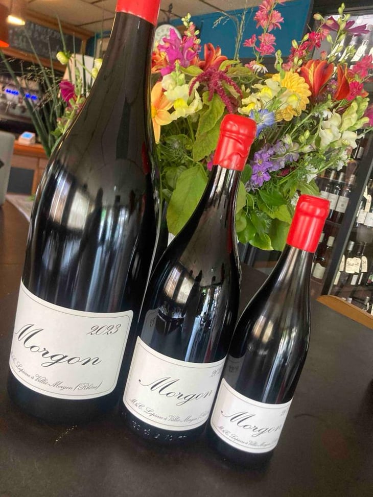 Morgon - Domaine Marcel Lapierre - Mathieu & Camille Lapierre 