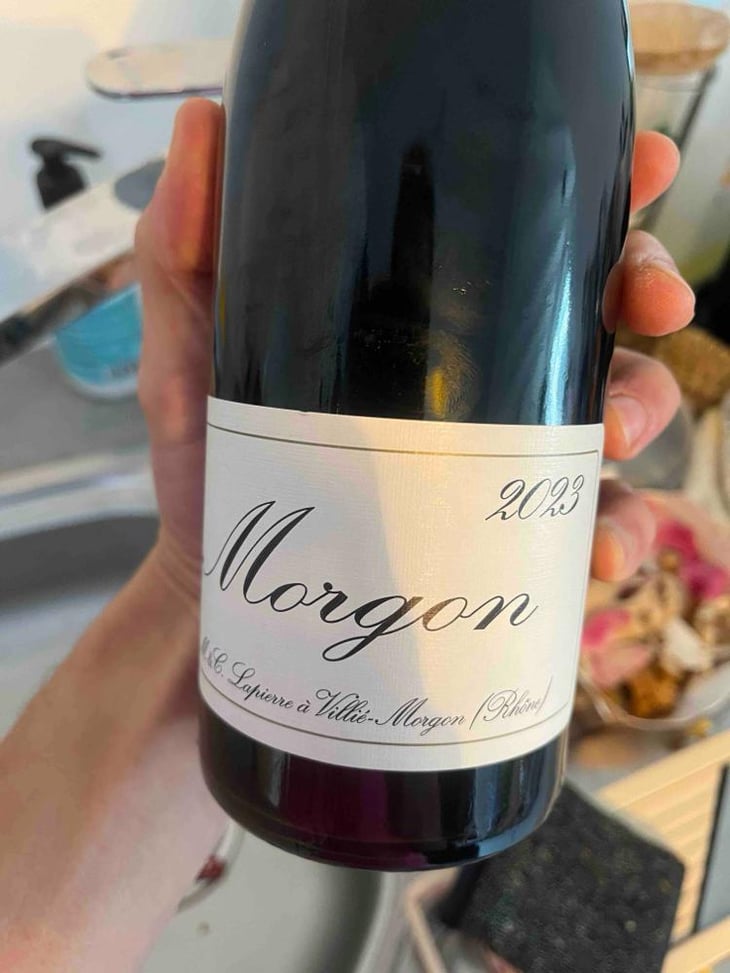 Morgon - Domaine Marcel Lapierre - Mathieu & Camille Lapierre 