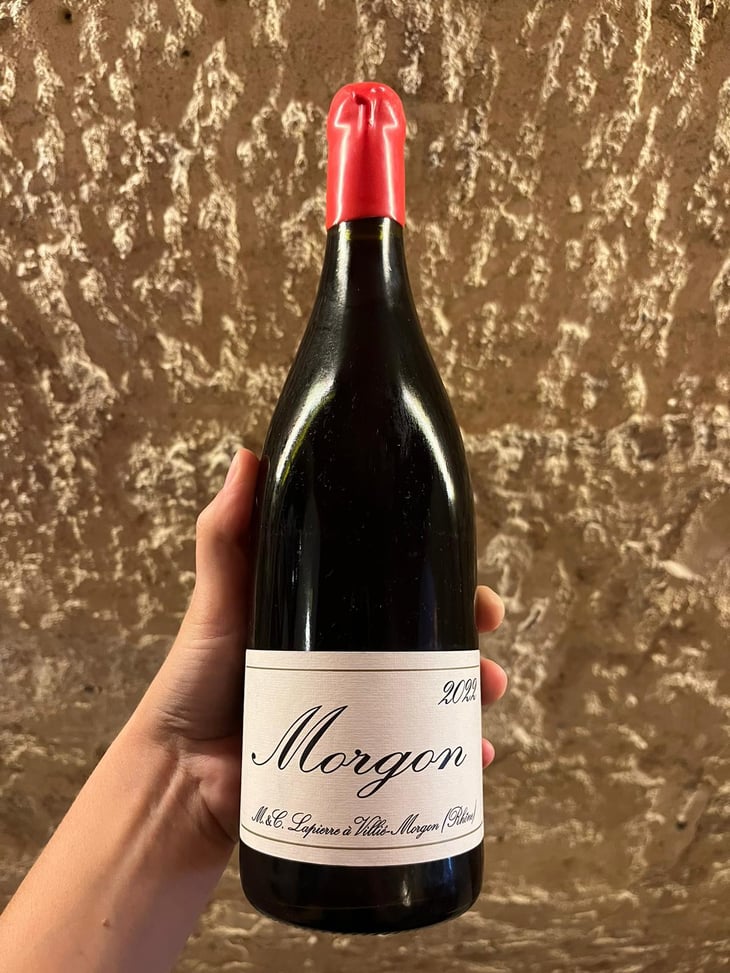 Morgon - Domaine Marcel Lapierre - Mathieu & Camille Lapierre 