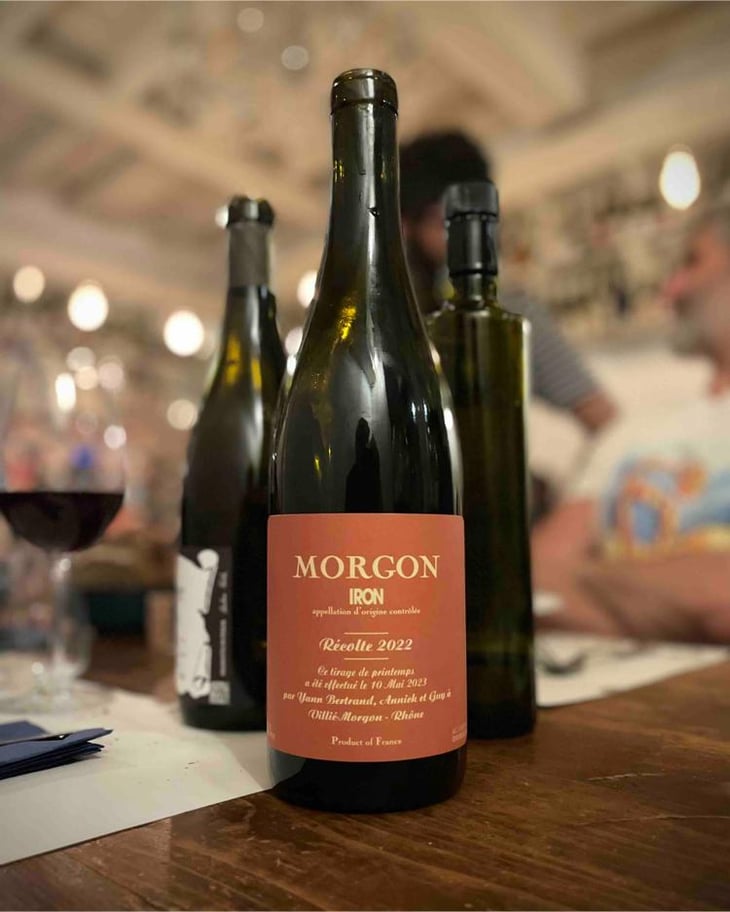Morgon Iron - Les Bertrand - Guy, Annick & Yann Bertrand -2022