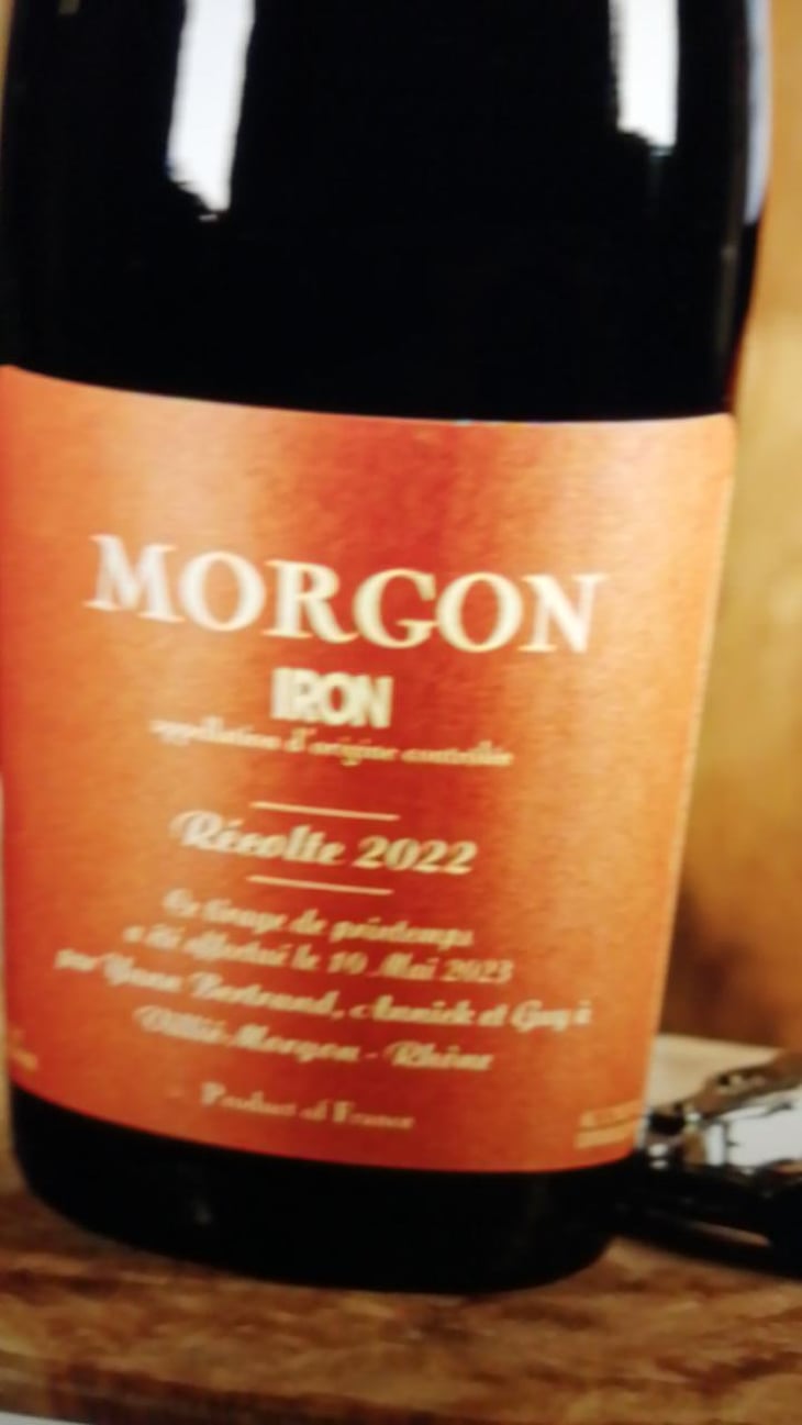 Morgon Iron - Les Bertrand - Guy, Annick & Yann Bertrand -2022