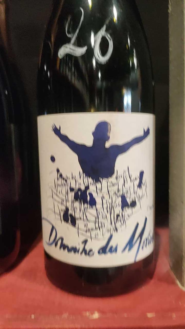 Morgon Les Charmes - Des Moriers - Domaine Des Moriers -2020