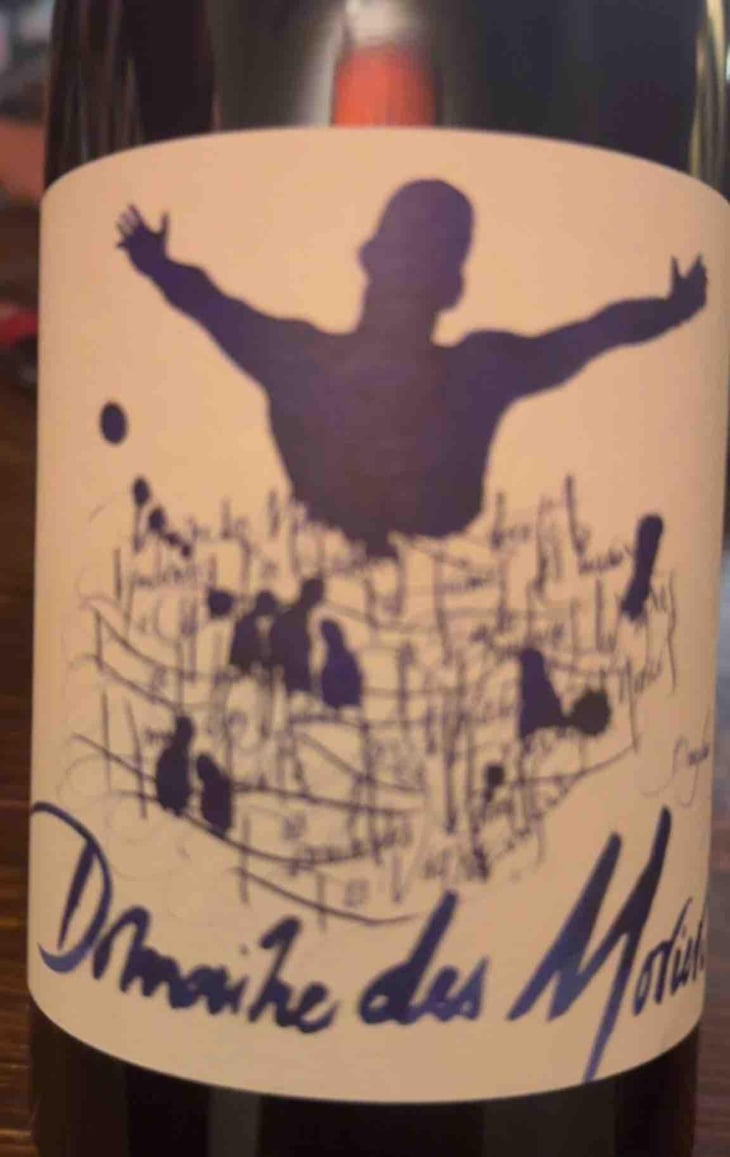 Morgon Les Charmes - Des Moriers - Domaine Des Moriers -2020