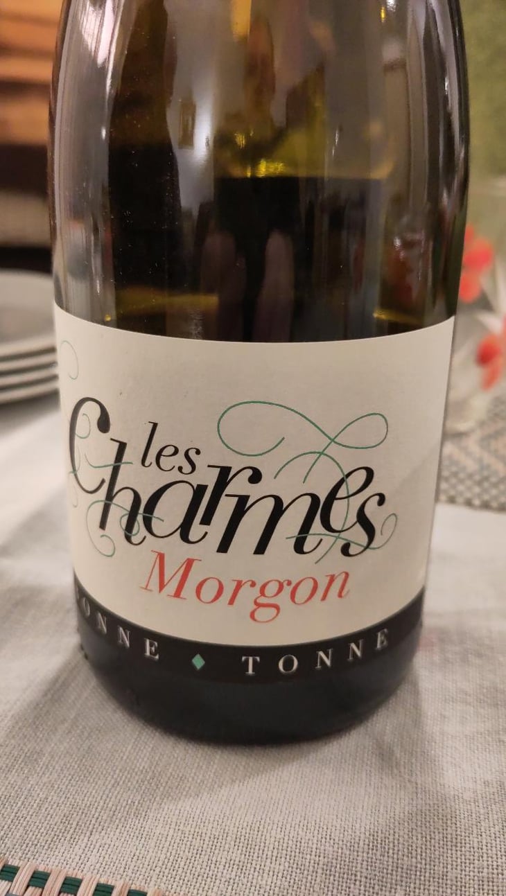 Les Charmes - Domaine de la Bonne Tonne - Thomas & Anne Laure Agatensi 