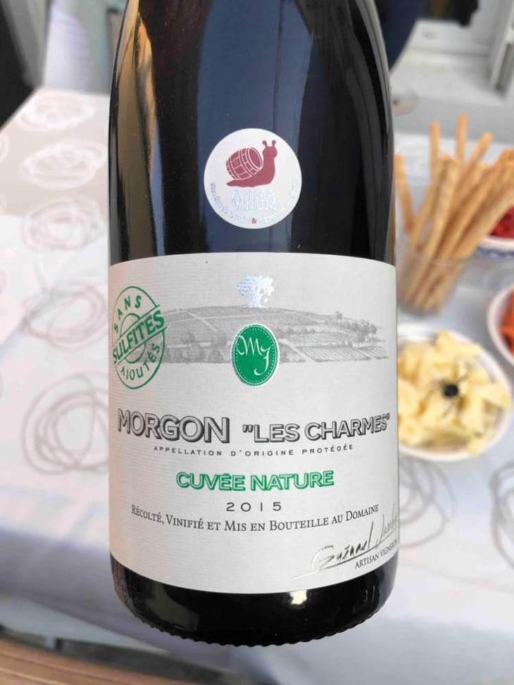 Morgon « Les Charmes » - Domaine des Roches du Py - Guénael Jambon 