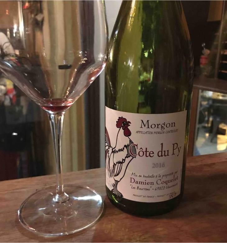 Morgon Vieilles Vignes - Damien Coquelet - Damien Coquelet 