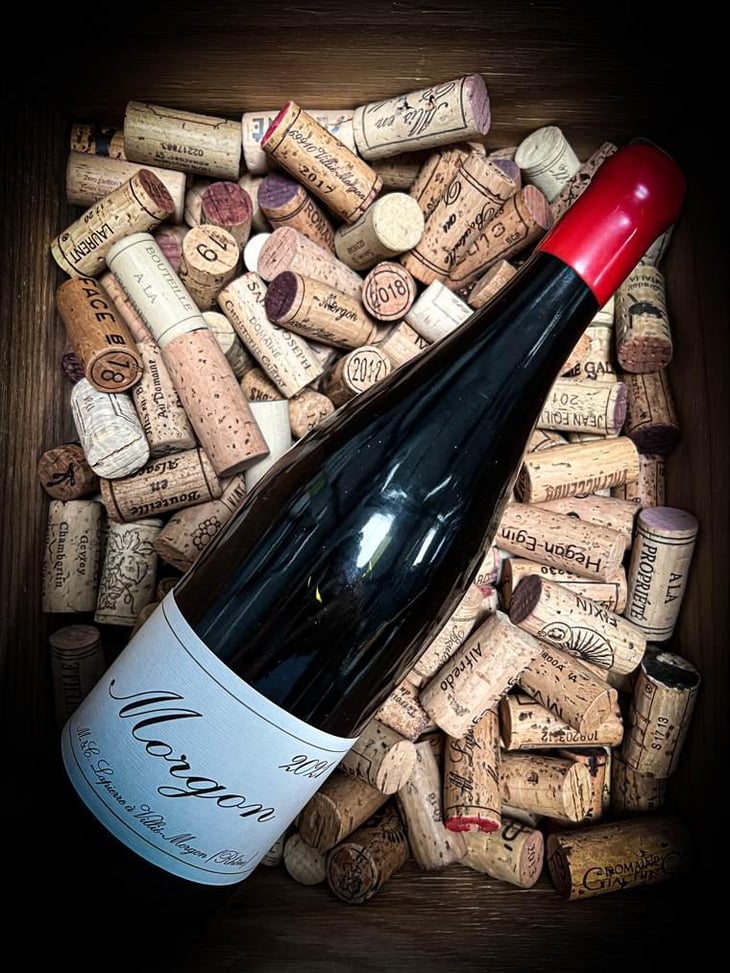 Morgon - Domaine Marcel Lapierre - Mathieu & Camille Lapierre 