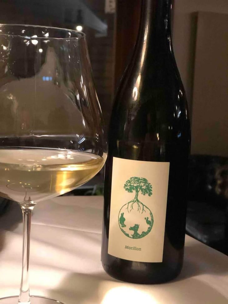 Morillon vom Opok - Weingut Werlitsch - Ewald & Brigitte Tscheppe 