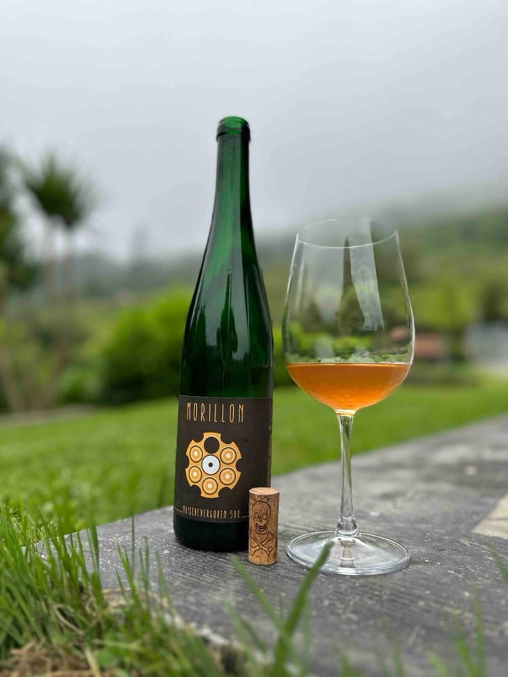 Morillon - Weingut Rebenhof - Hartmut Aubell 