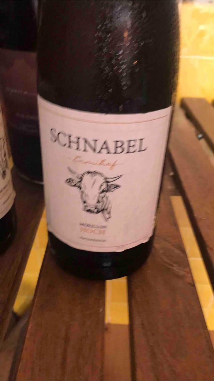 Morillon Hoch - Weingut Karl Schnabel - Karl & Eva Schnabel 