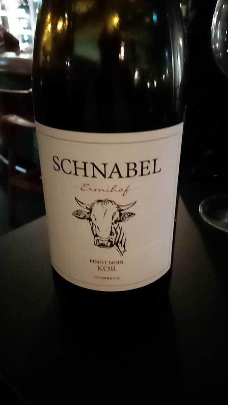 Morillon Hoch - Weingut Karl Schnabel - Karl & Eva Schnabel 