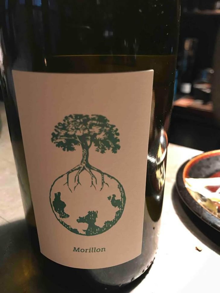 Morillon vom Opok - Weingut Werlitsch - Ewald & Brigitte Tscheppe 