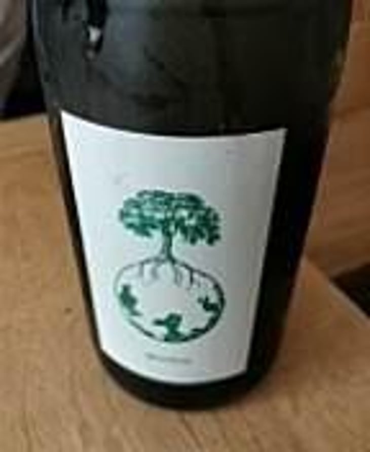 Morillon vom Opok - Weingut Werlitsch - Ewald & Brigitte Tscheppe 