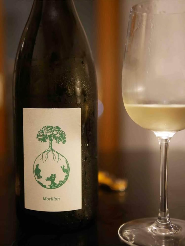Morillon vom Opok - Weingut Werlitsch - Ewald & Brigitte Tscheppe 