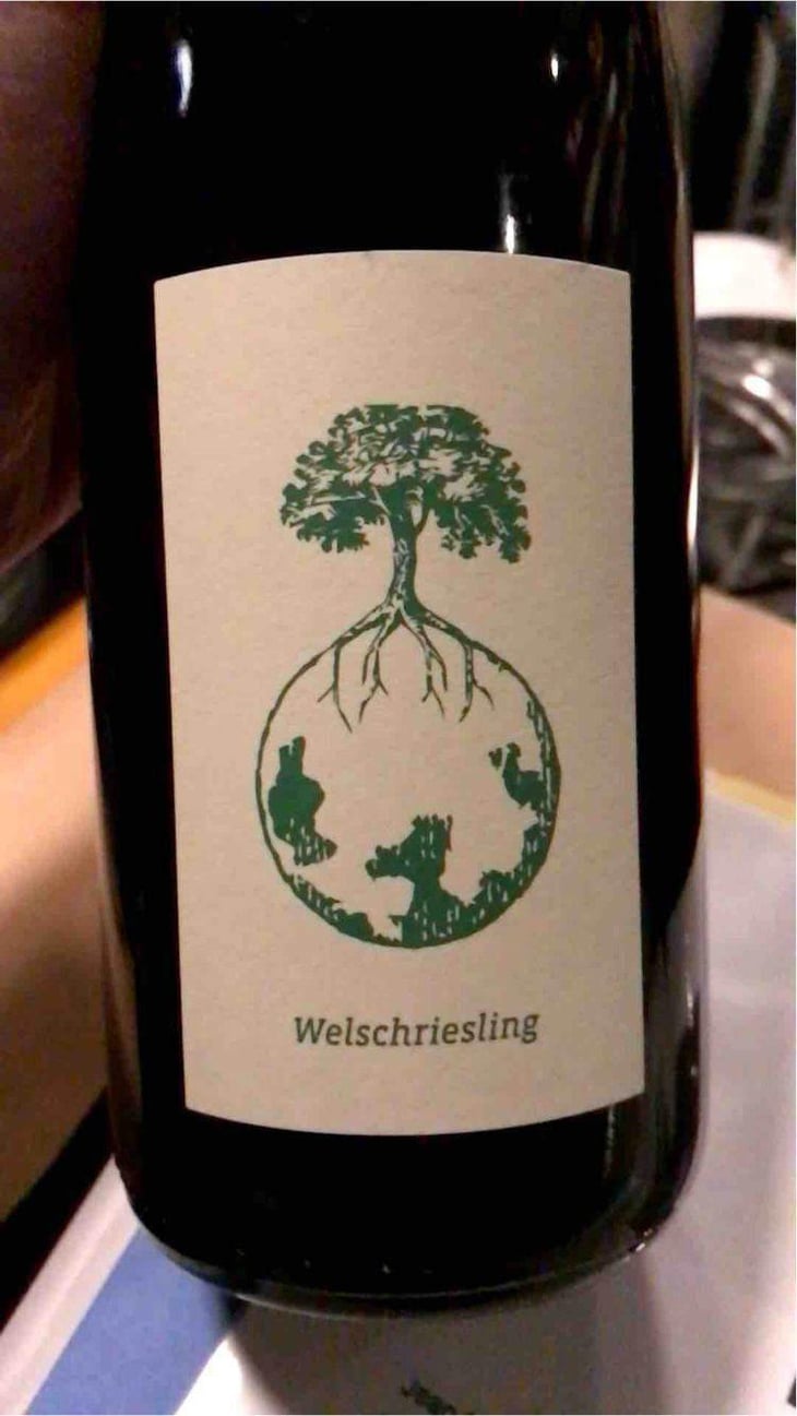 Morillon vom Opok - Weingut Werlitsch - Ewald & Brigitte Tscheppe 