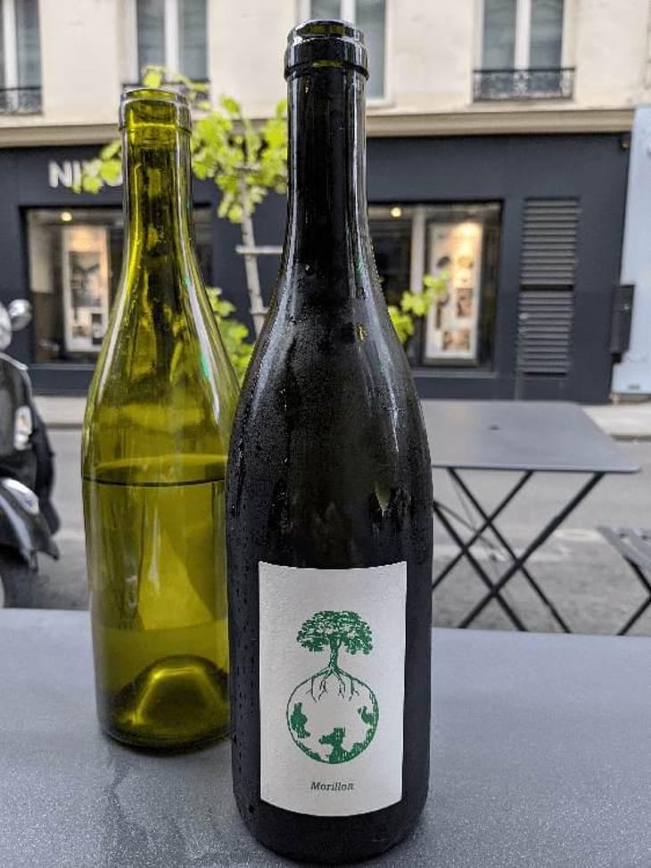 Morillon vom Opok - Weingut Werlitsch - Ewald & Brigitte Tscheppe 