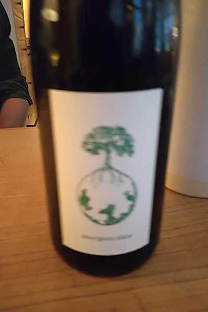 Morillon vom Opok - Weingut Werlitsch - Ewald & Brigitte Tscheppe 