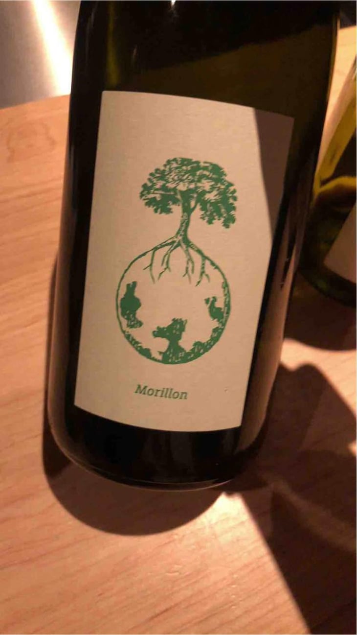 Morillon vom Opok - Weingut Werlitsch - Ewald & Brigitte Tscheppe 