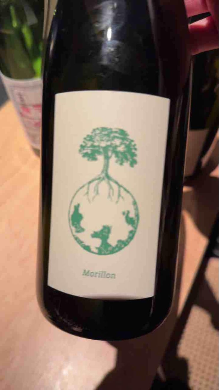 Morillon vom Opok - Weingut Werlitsch - Ewald & Brigitte Tscheppe 