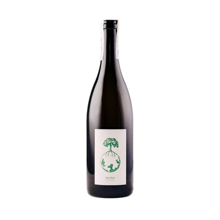 Morillon vom Opok - Weingut Werlitsch - Ewald & Brigitte Tscheppe 