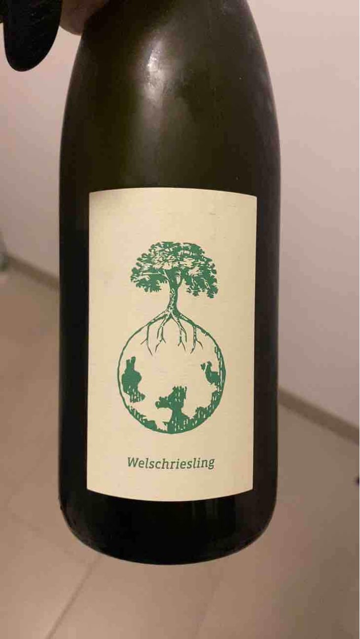 Morillon vom Opok - Weingut Werlitsch - Ewald & Brigitte Tscheppe 