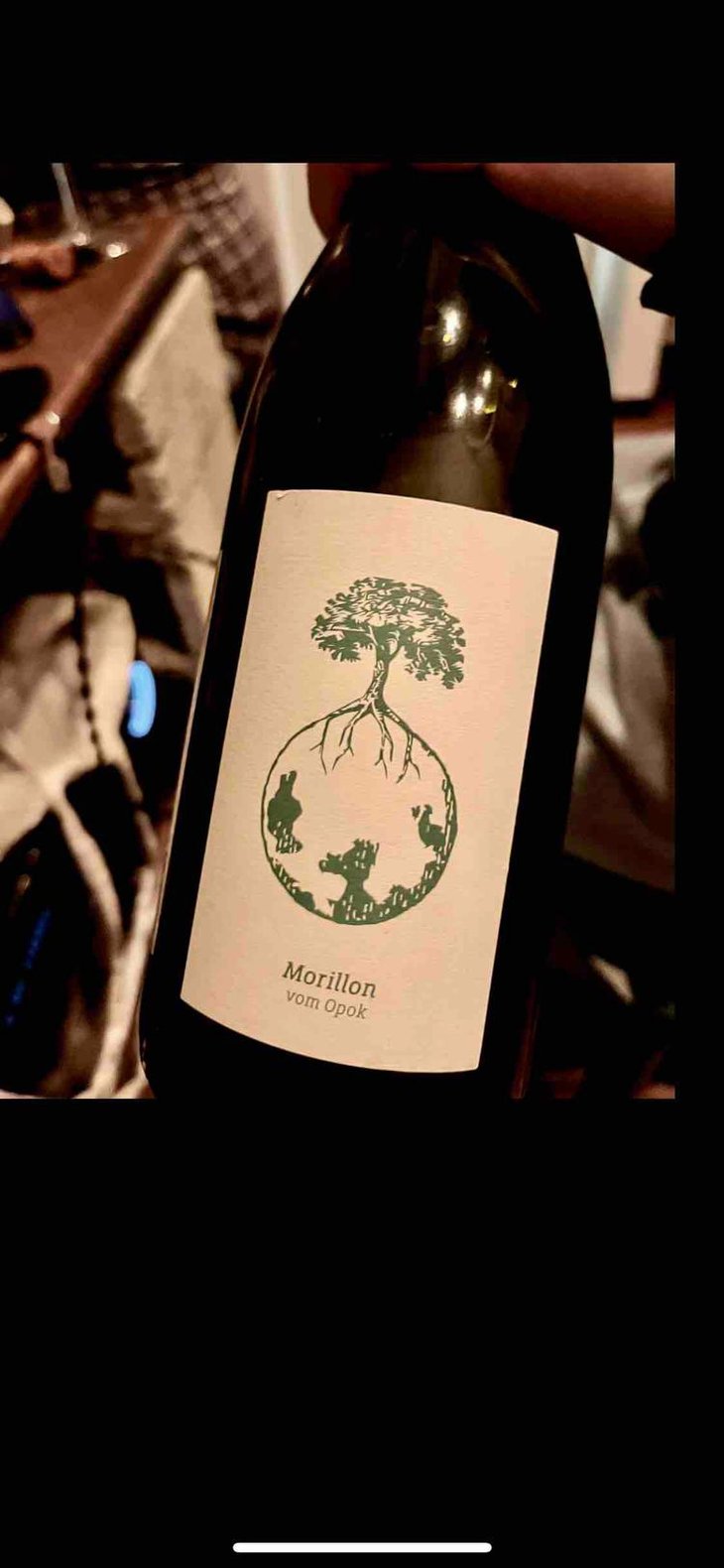 Morillon vom Opok - Weingut Werlitsch - Ewald & Brigitte Tscheppe 