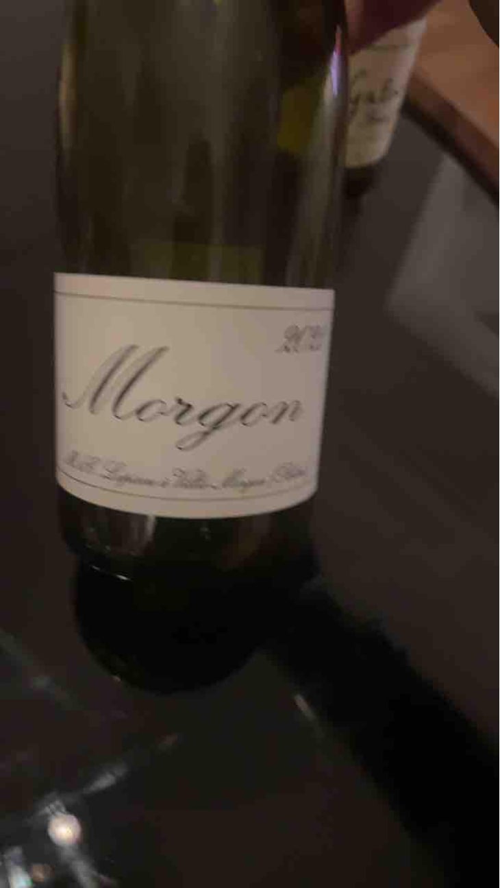 Morgon - Domaine Marcel Lapierre - Mathieu & Camille Lapierre 