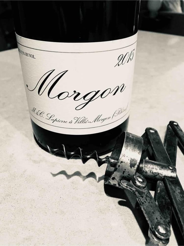 Morgon - Domaine Marcel Lapierre - Mathieu & Camille Lapierre 
