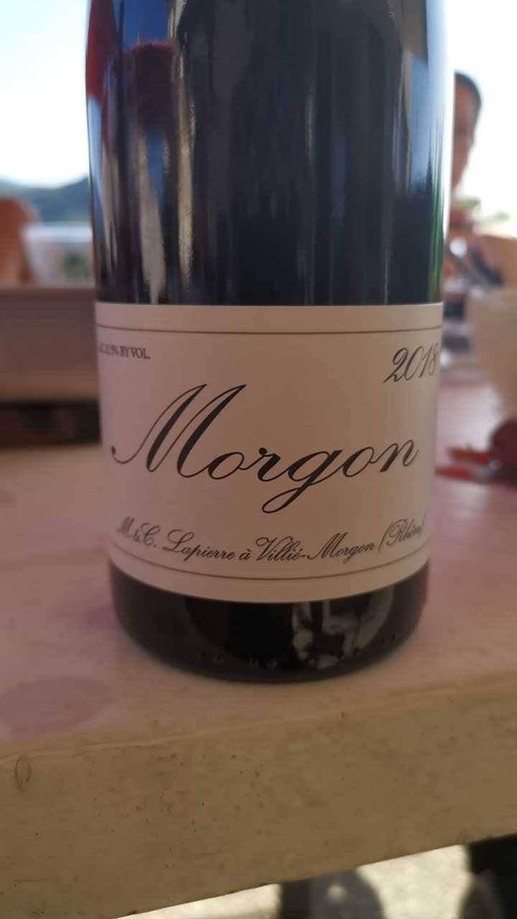 Morgon - Domaine Marcel Lapierre - Mathieu & Camille Lapierre 